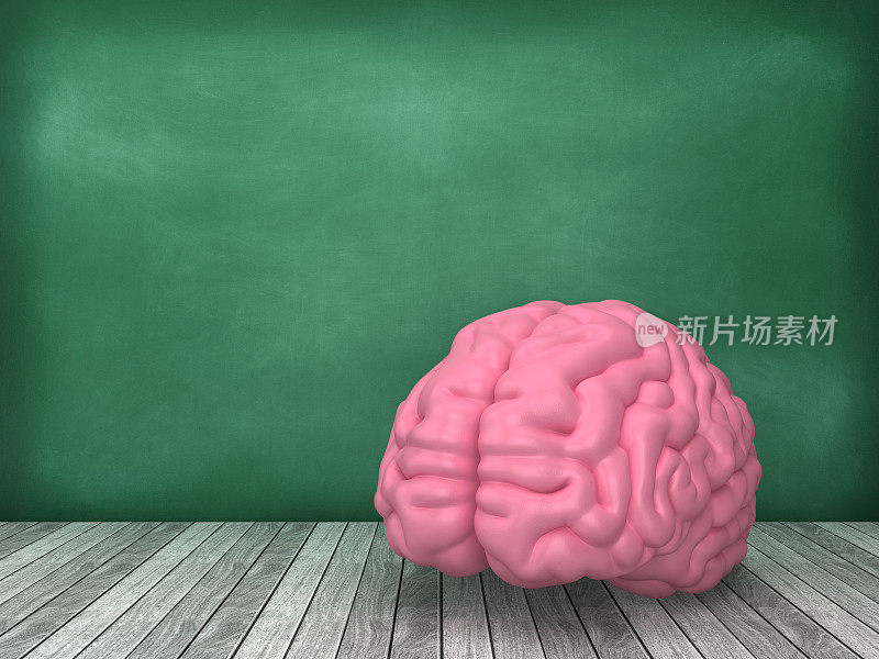 人类大脑在黑板背景- 3D渲染